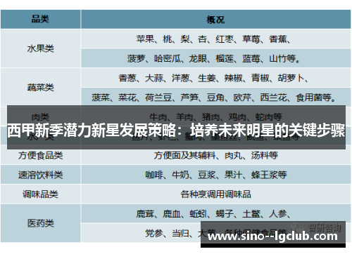 西甲新季潜力新星发展策略：培养未来明星的关键步骤